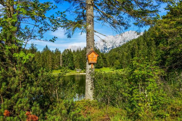 美しい自然の眺め - lautersee lake ストックフォトと画像