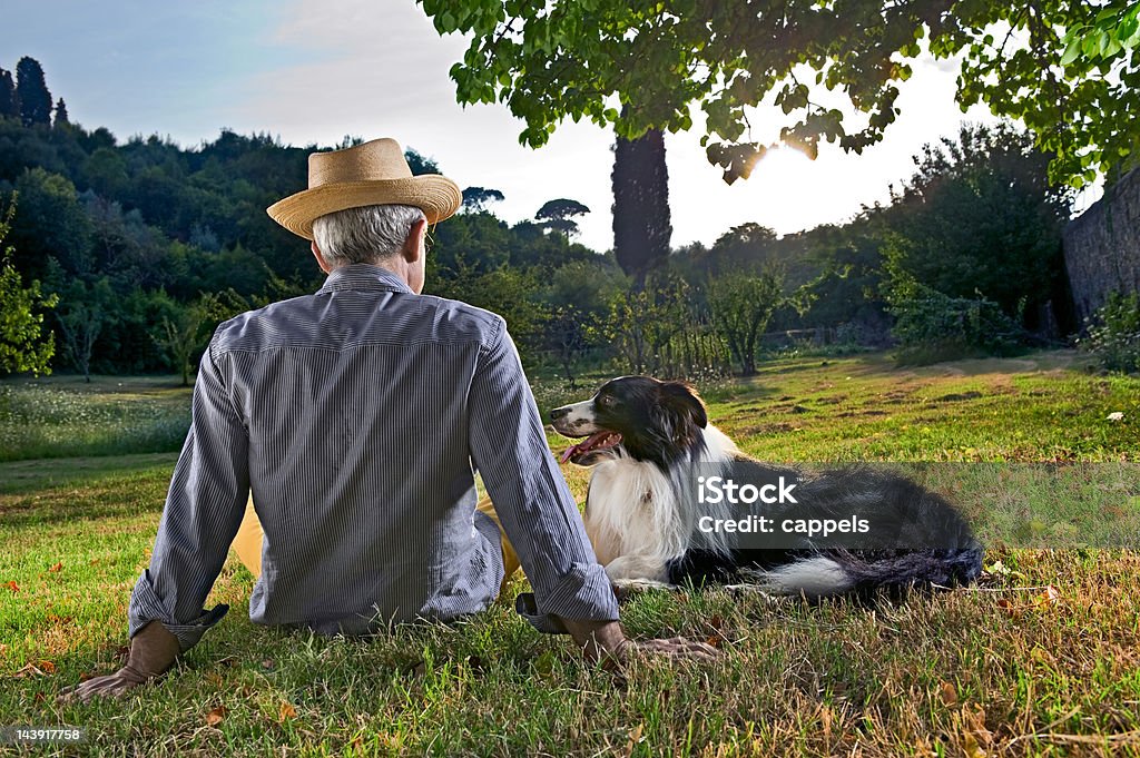 Uomo anziano seduto al tramonto con la sua Dog.Color immagine - Foto stock royalty-free di Cane