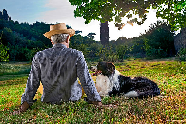 An elderly man sits on a lawn with his dog in a colorful summer sunset.