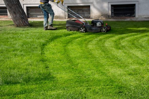 istock Gardener holding a lawn mower and cutting grass 1439178291