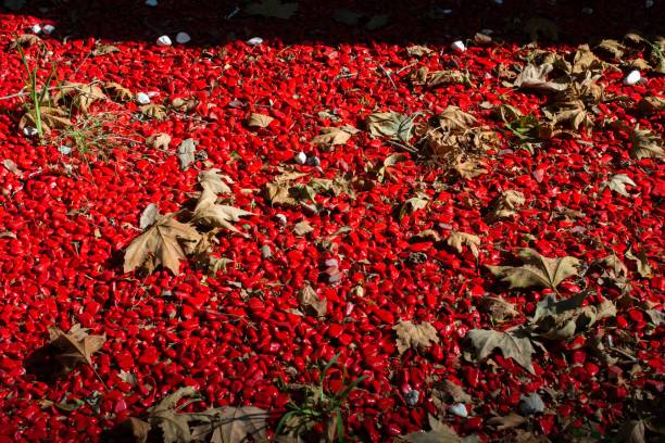 istock Dried leaves on the ground with red stones 1439178308