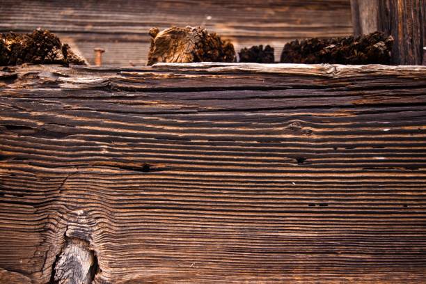 istock Closeup shot of an old board texture 1439178344