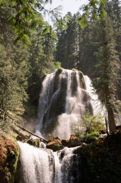 istock High cascading waterfall in the forest with trees, vertical shot 1439179323
