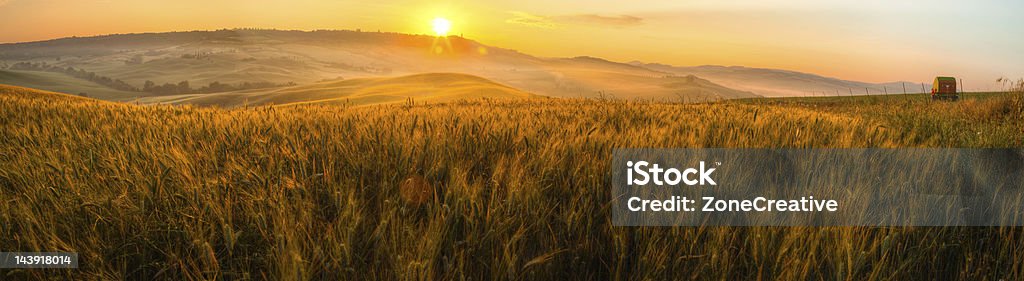 italy tuscany panorama with wheat field and townscape at sunrise  Wheat Stock Photo