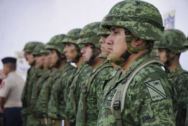 flag day february 24 2020 - navy officer armed forces saluting imagens e fotografias de stock