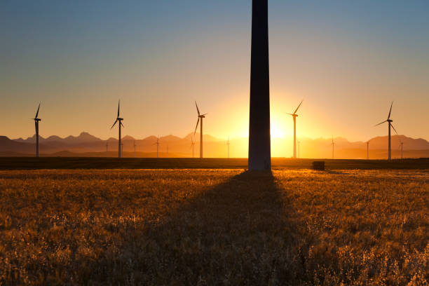 Wind Turbines at Sunset stock photo