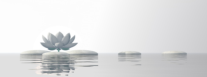 Lotus flower in grey morning mood - 3D render