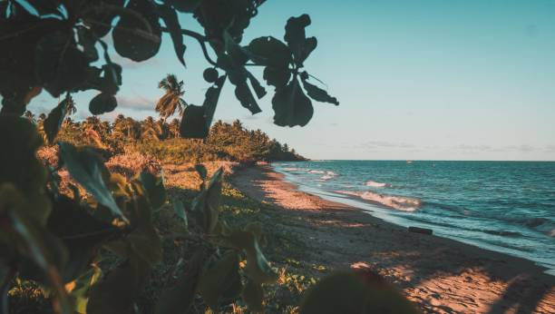 istock Beautiful scenery of a beach with greenery in Praia 1439183882