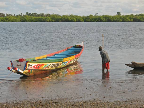 Morning activity of local fishermen. Boune, Senegal – September 08, 2008: Morning activity of local fishermen in the town of Boune, on the banks of the Casamance river, near Ziguinchor, Senegal. casamance photos stock pictures, royalty-free photos & images
