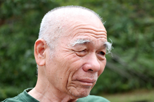 Portrait of an Asian Senior Man