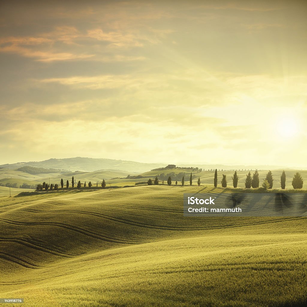 Atardecer en Toscana - Foto de stock de Toscana libre de derechos