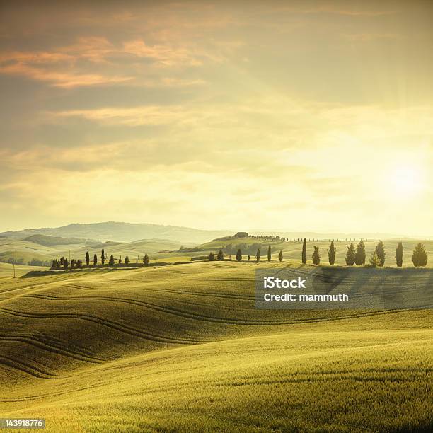 Atardecer En Toscana Foto de stock y más banco de imágenes de Toscana - Toscana, Paisaje escénico, Puesta de sol