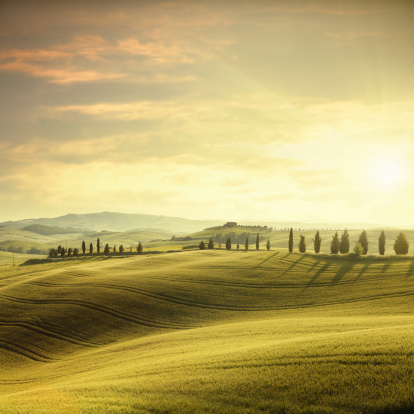 The hills of Val d'Orcia covered with green spring wheat (Tuscany, Italy) at sunset.