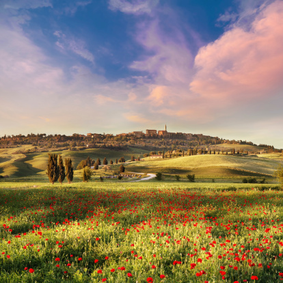 Poppy field  in Tuscany at sunset - the town of Pienza in the background.