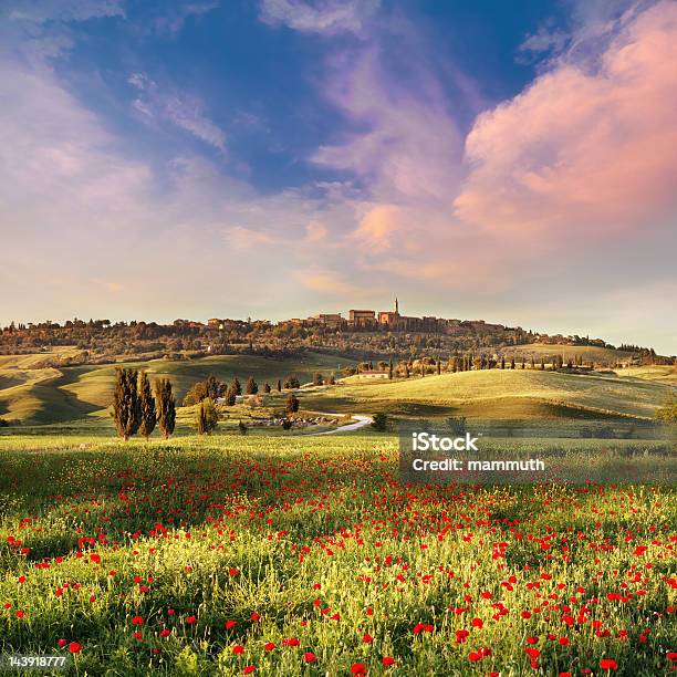 Mak Pole W Toskania O Zachodzie Słońca - zdjęcia stockowe i więcej obrazów Krajobraz - Krajobraz, Toskania - Włochy, Włochy
