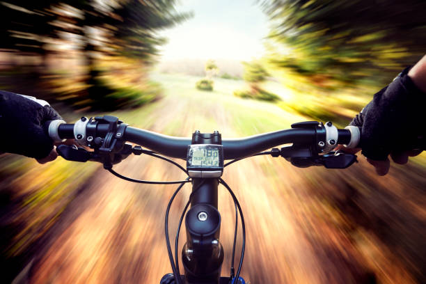 Mountain biker riding on a cross country trail through the forest. Personal perspective, blurred motion.
