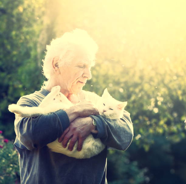 istock The last days of summer 143919047