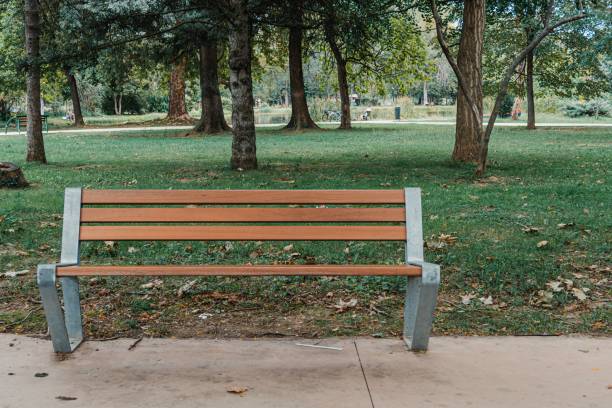 istock Empty wooden bench in a park 1439191345