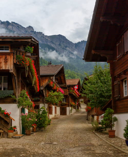 villaggio di brienz, canton berna, svizzera - bernese oberland foto e immagini stock
