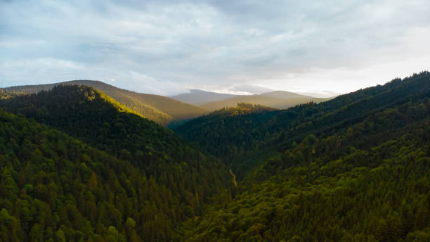 istock two persons on picnic on background mountains and forests photographed from a drone Transylvania, Romania 1439192444