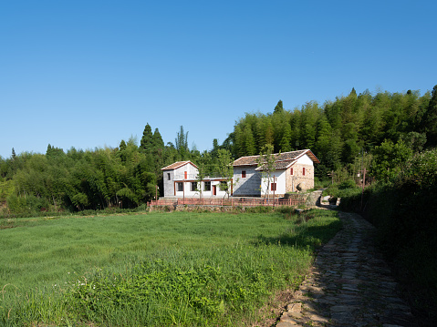 A rural house surrounded by trees under a blue sky