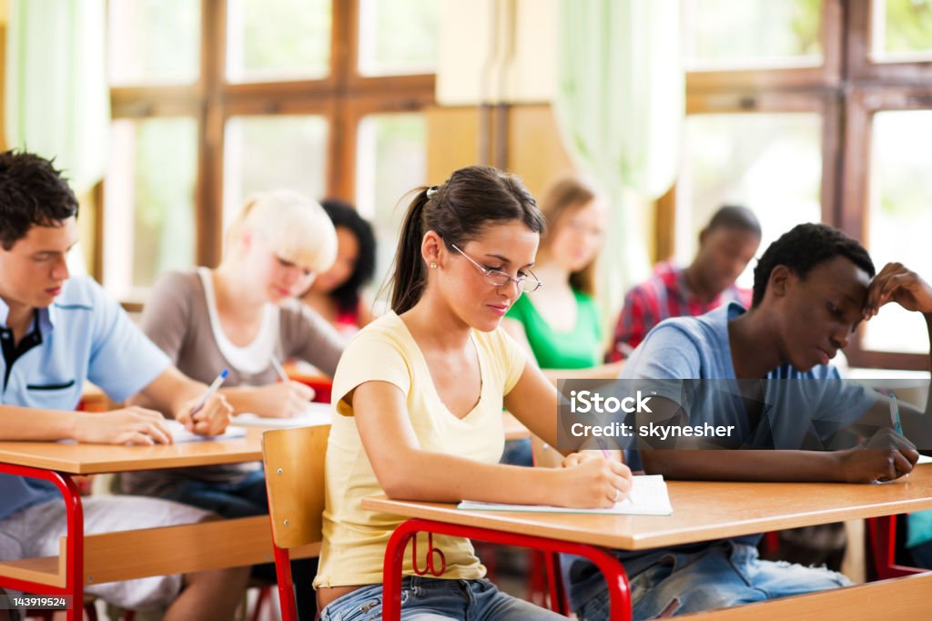 Students writing in their notebooks  Adolescence Stock Photo