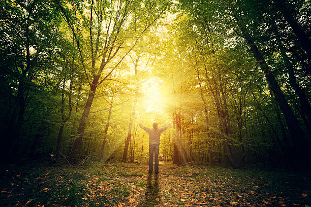 libertad & rezar - praying forest freedom tree fotografías e imágenes de stock