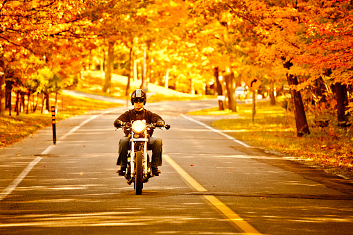 Biker touring during a lovely Fall morning in Drummondville, Quebec, Canada.  Short depth of field. Shot with 5DII.