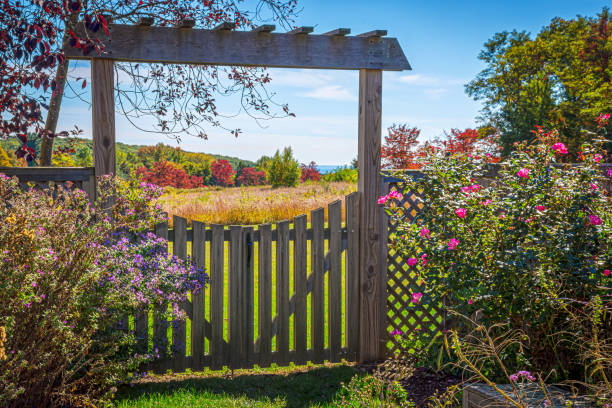 istock Two Sides of Nature 1439200400