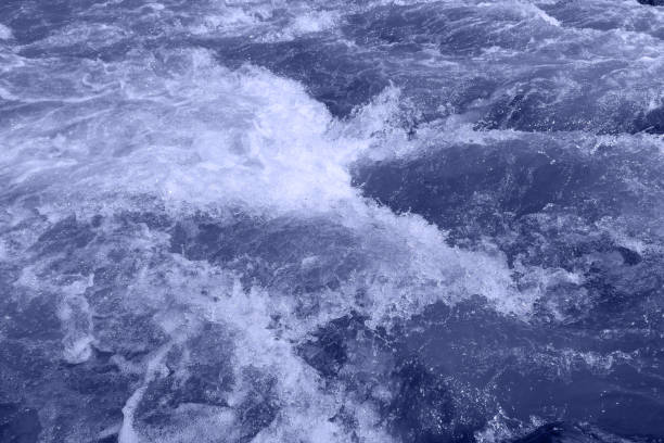 istock Defocus blurred transparent blue colored clear calm water surface texture with splashes and bubbles. Trendy abstract nature background. Water waves in sunlight with copy space. Blue watercolor shining 1439205599