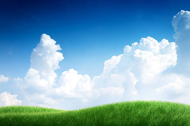 The infinitely stretching blue sky and rich green grassland show perfect harmony. It's a memorable landscape conveying the grandeur and peace of nature.