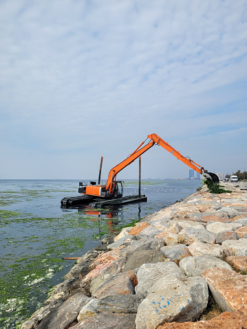 dredging machine that takes sea lettuce out of the sea