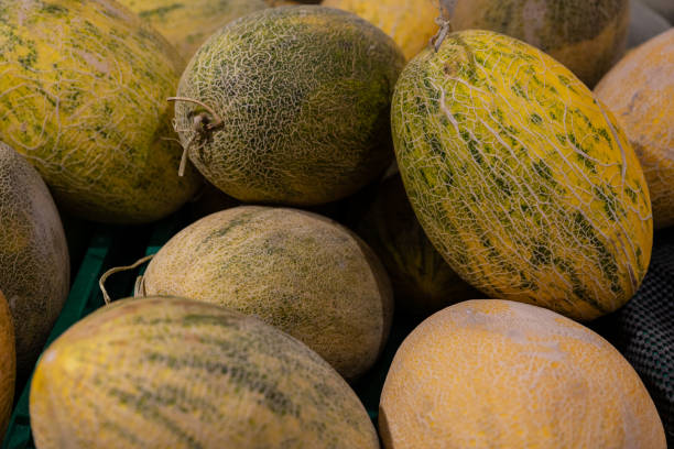 Close up of cantaloupes on supermarket shelves