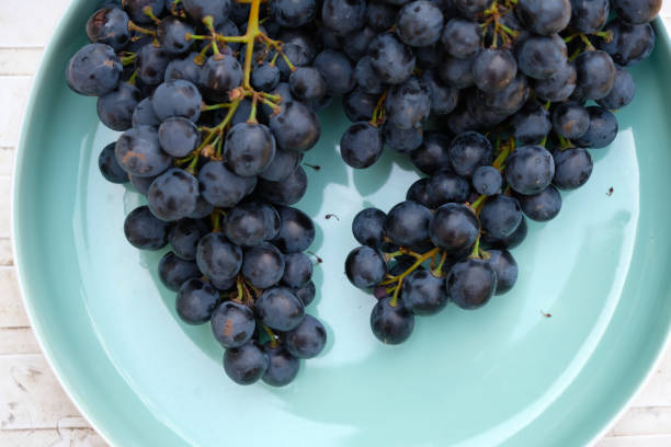 uvas roxas em uma tigela de cerâmica de cor aqua. vista superior. - red grape grape fruit sweet food - fotografias e filmes do acervo