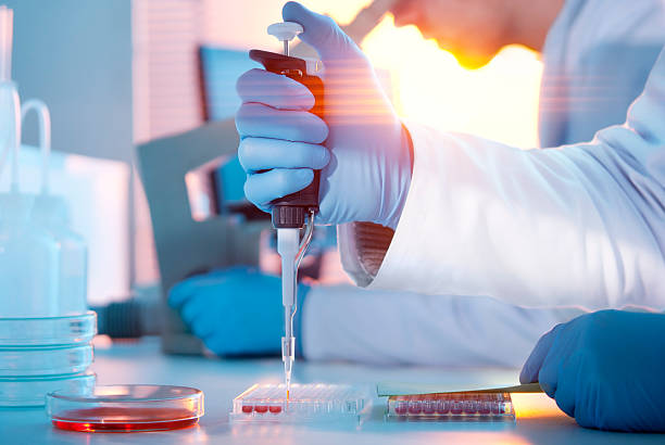 Lab Experiment Scientist injecting liquid into a microtiter plate pipette photos stock pictures, royalty-free photos & images