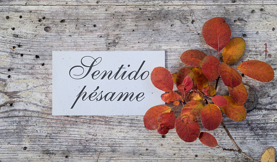 Sympathy card with colored autumn leaves and spanish text: Sincere condolences