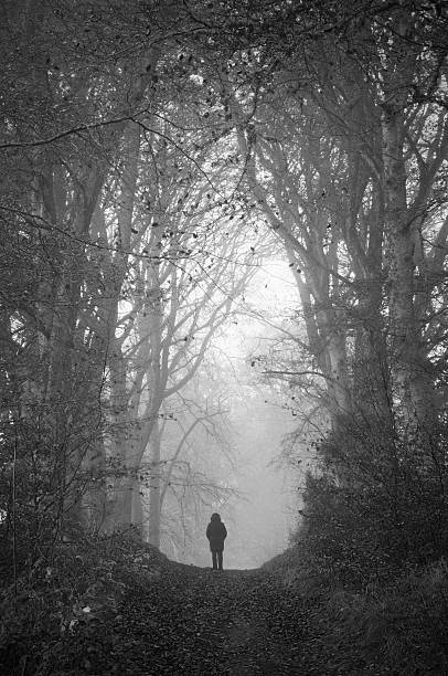 istock Figure in misty woodland 143921637
