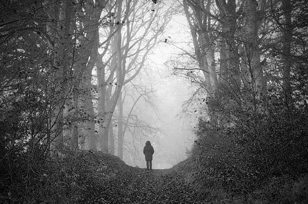 istock Figure in misty woodland 143921638