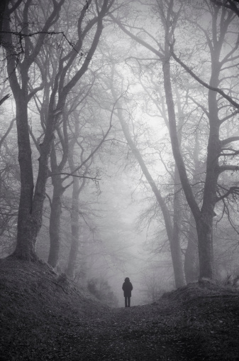 A single female figure standing in mist among giant trees.