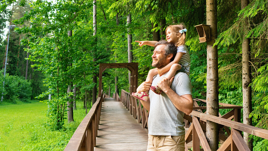 The father carries his daughter on his shoulders while walking along the hiking trail in the reserve. Daddy spends time with his little daughter, showing her the beauty of the wild.