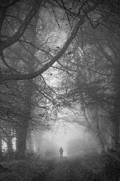 istock Shadowy image walking in misty wooded road 143921759