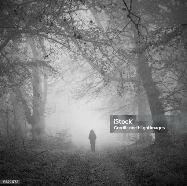 Figura En Misty Woodland Foto de stock y más banco de imágenes de Blanco y negro - Blanco y negro, Estar de pie, Solitario - Conceptos