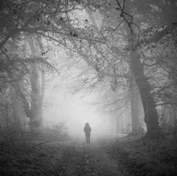 istock Figure in misty woodland 143921762