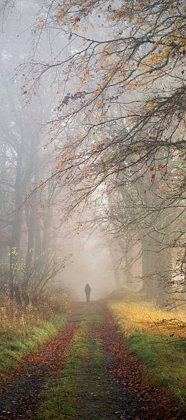 istock Figure in misty woodland 143921764