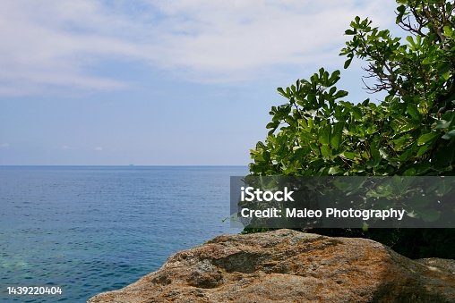 istock Fig tree and red rock, Mediterranean Sea and blue sky in the background. 1439220404