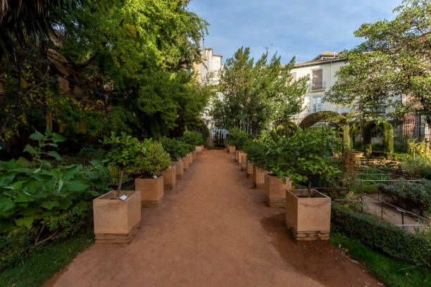 Botanical Garden of the University of Granada stock photo
