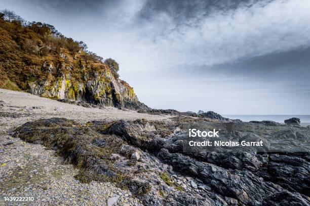 Cancale Beach Stock Photo - Download Image Now - Cancale, Adventure, Algae
