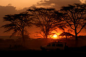 Serengeti, Africa sunset behind trees and a safari vehicle