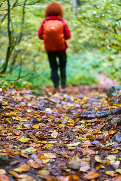 istock Woman hiker with backpack in the forest 1439224343