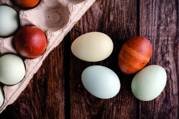 istock Blue, Green, and Brown Heritage Eggs With an Egg Carton On a Rustic Wood Background 1439226042